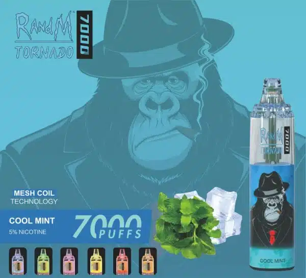 RandM Tornado 7000 Disposable Vape Cool Mint